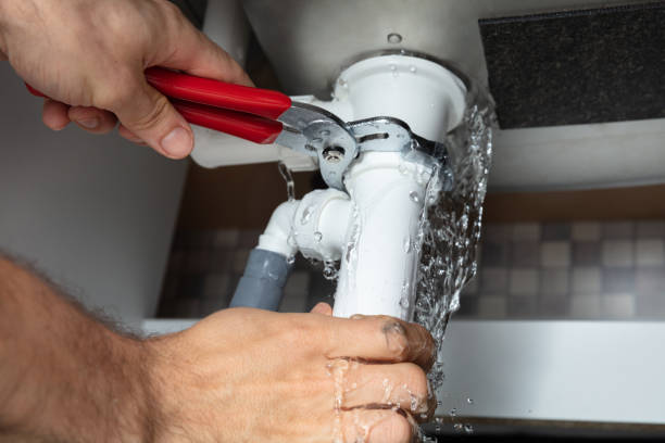 Best Professional water damage repair  in Chatham, VA