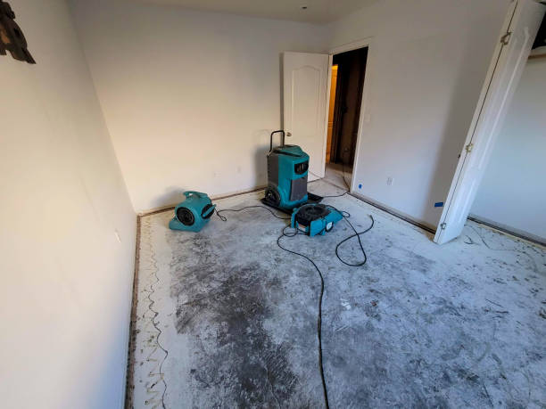 Best Carpet water damage restoration  in Chatham, VA
