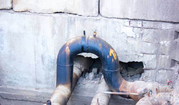 Best Flood damage cleanup  in Chatham, VA